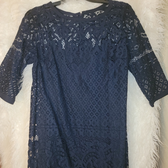 LOFT Ann Taylor Lace Lined Floral Dress - Picture 1 of 4